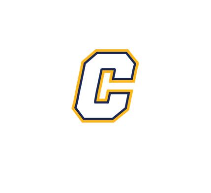 [CUS-STK-VC-3IN-LOGO2] Team Stickers (3in, Logo 2)