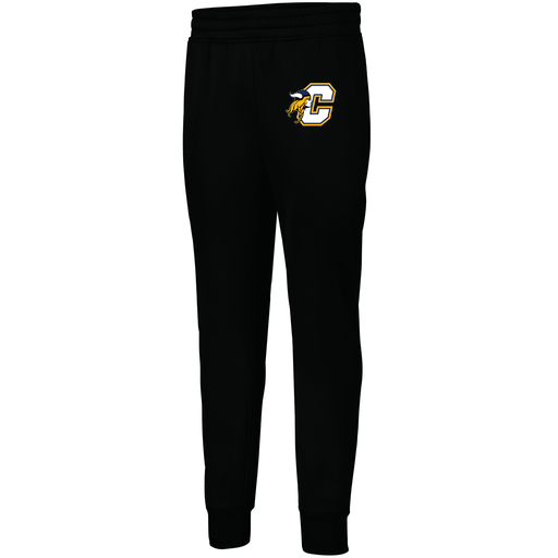 [5566.080.XS-LOGO1] Men's PERFORMANCE FLEECE JOGGER (Adult XS, Black, Logo 1)